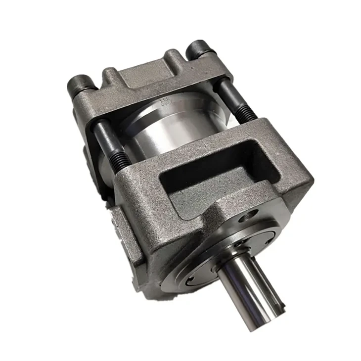 Sumitomo QT QT6N QT4N QT5N QT8N Series Pompe à huile QT4N-31.5-BP-Z QT5N-50-BP-Z Pompe à engrenages interne haute pression pour système servo